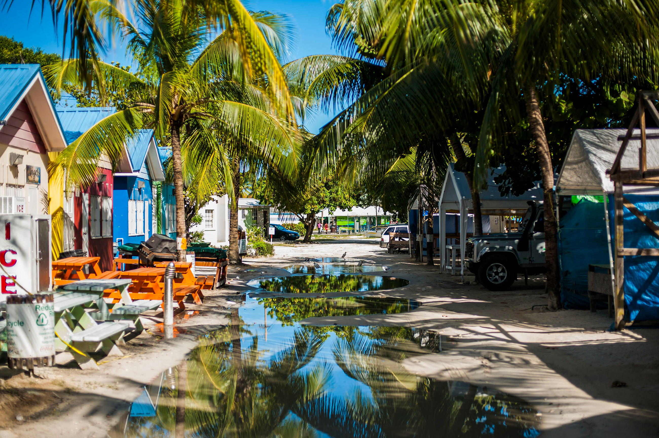Palm tree-lined street in the Caribbean with picnic tables, vendor booths, and a wet pavement after a rain.