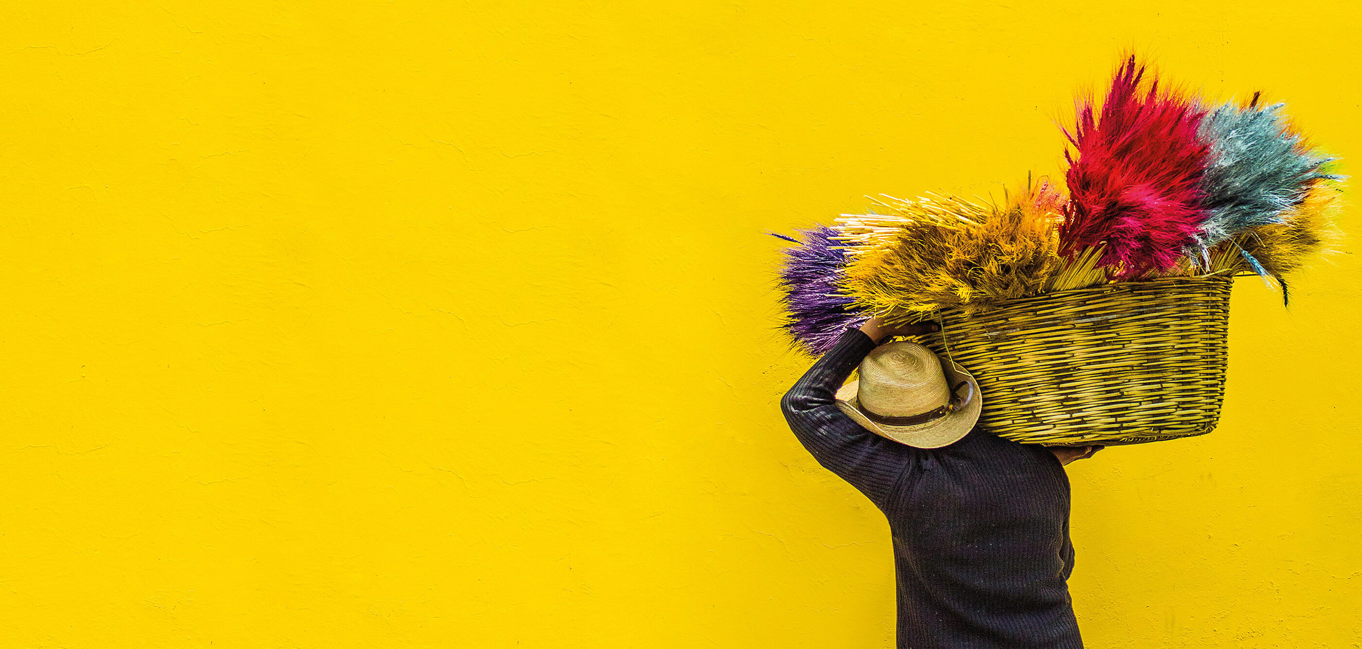 Man carrying straw in a woven basket with a vibrant yellow background in Latin America