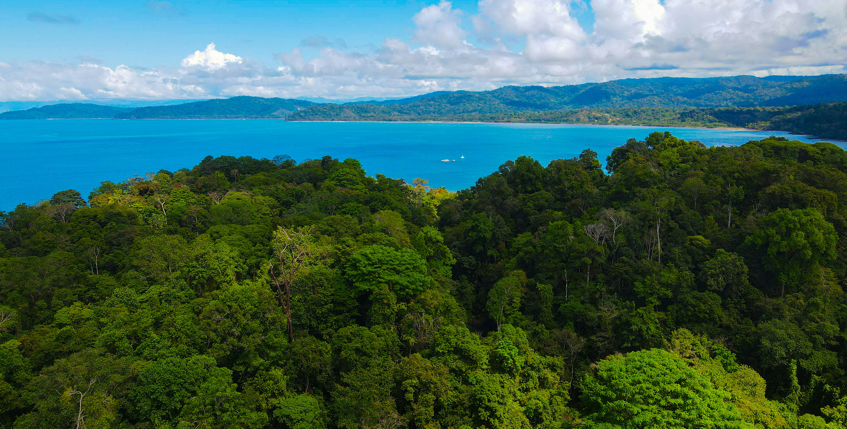 Treetop view overlooking tropical ocean waters in Central America