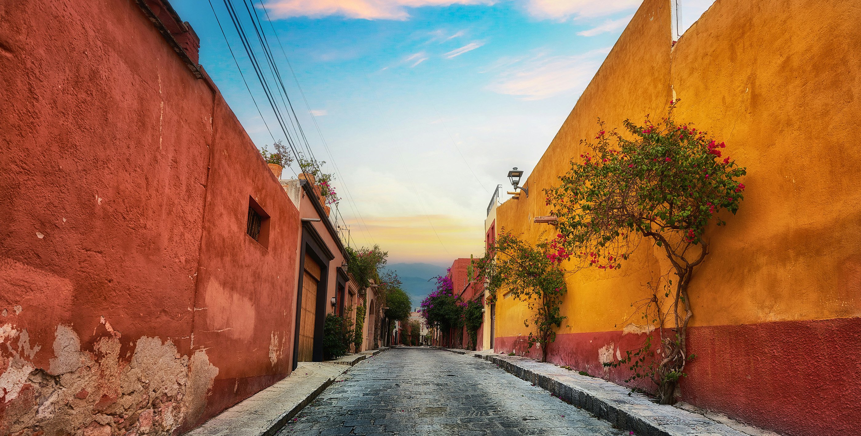 Colorful building-lined street with trees with flowers in Mexico