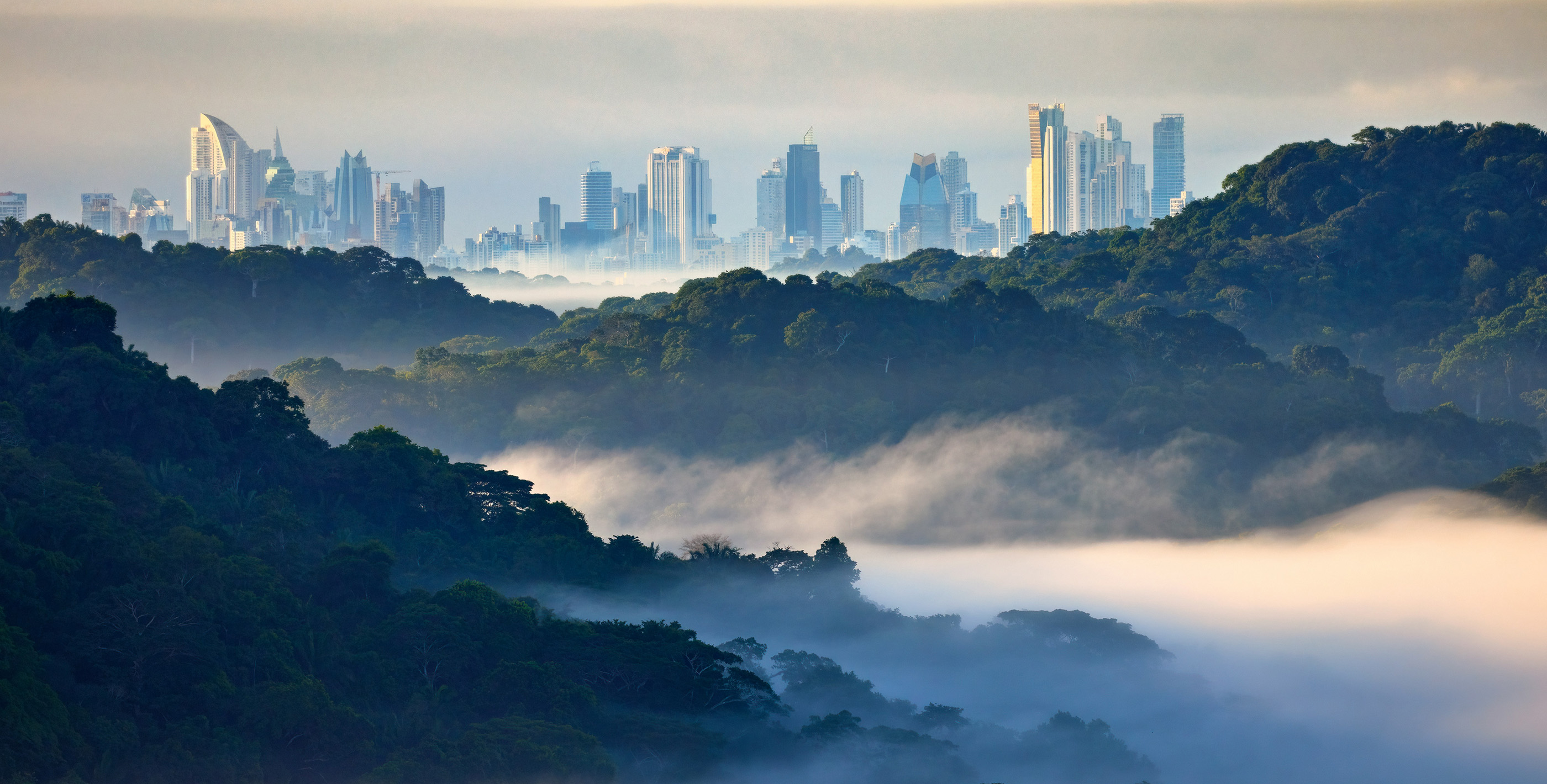 Rainforest and mist surrounding the Panama Canal with Panama City skyline in the distance