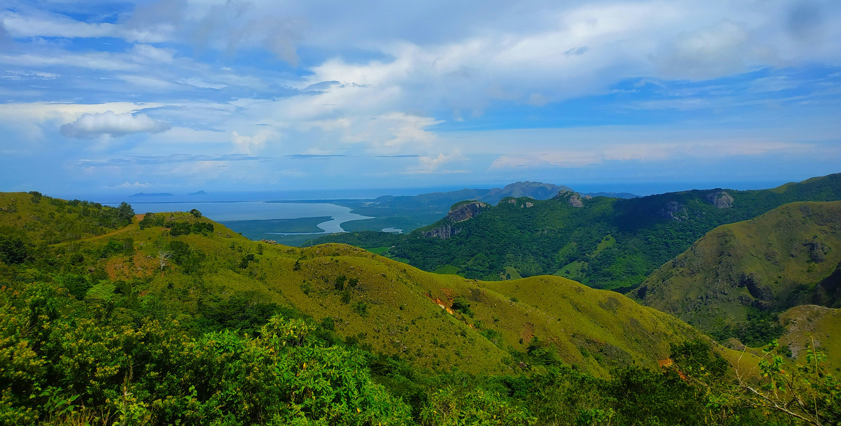 A dense jungle in Panama with mountains and a body of water in the distance