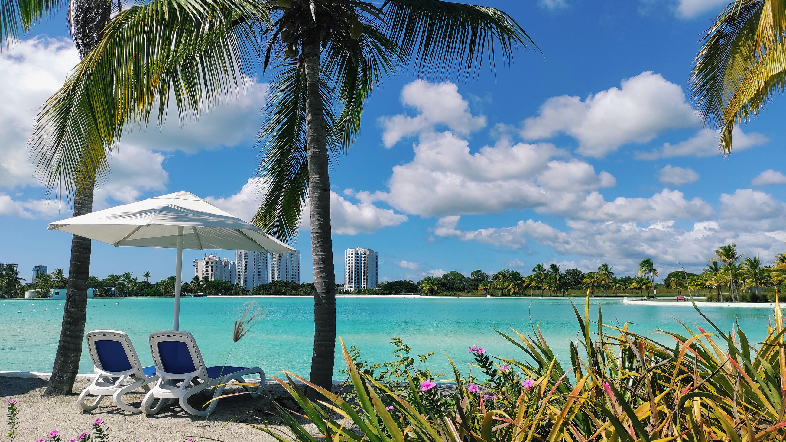 A tropical beach scene in Playa Blanca, Panama, with palm trees and clear blue waters, often consider one of the best places to live in Panama