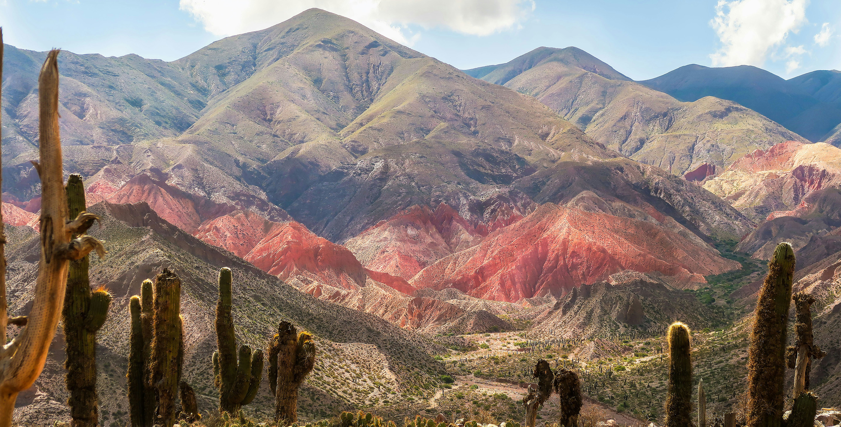 Text: Cactus in front of rock formations in Quebrada de Humahuaca, Argentina
