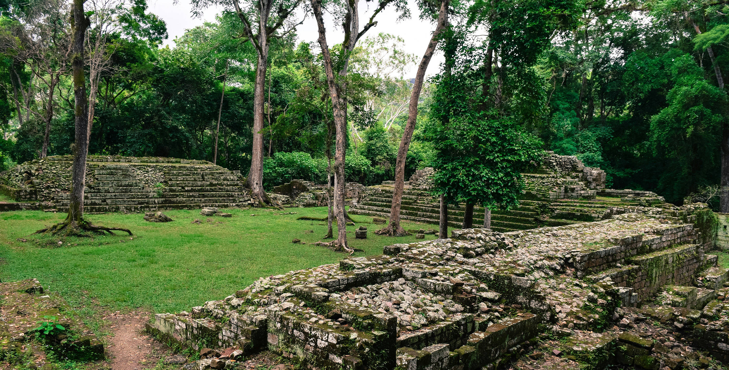 Ancient Copán ruins surrounded by lush jungle in Honduras