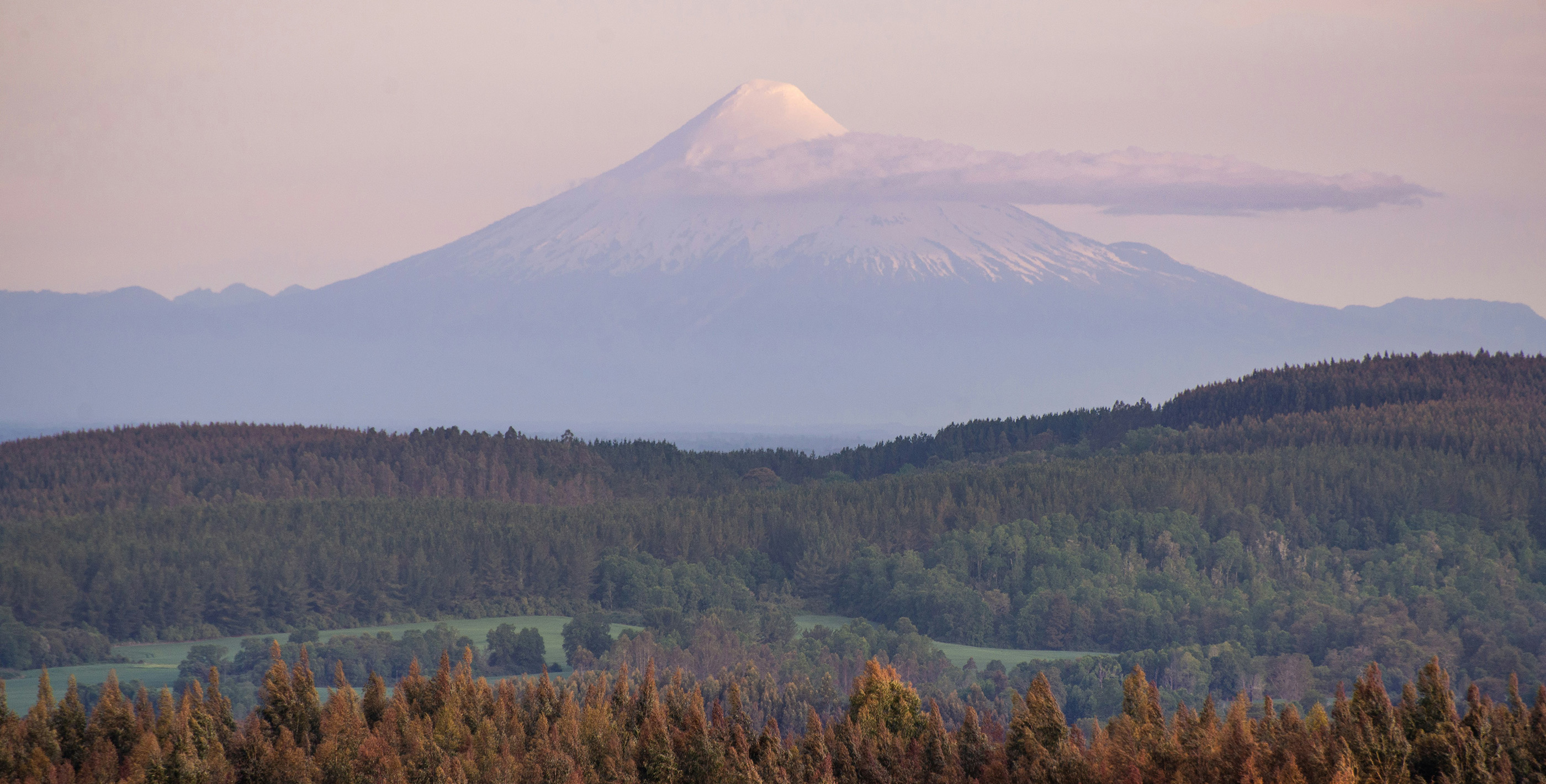 Lush forest with Osorno Volcano in background, Chile