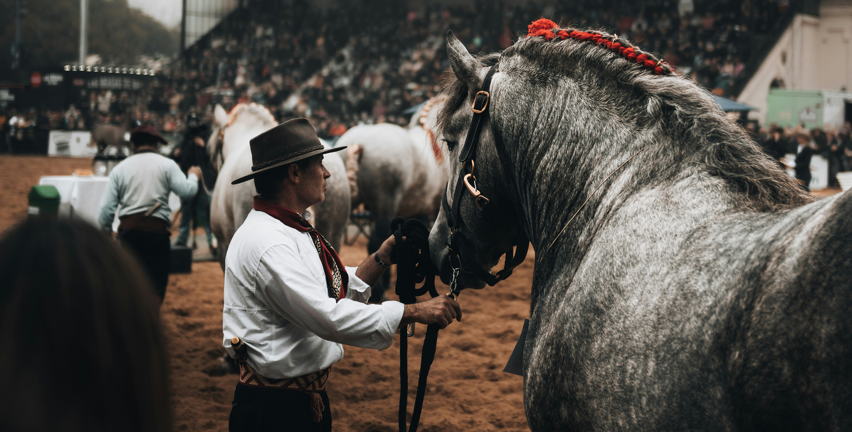 South American gaucho with horse in traditional dress