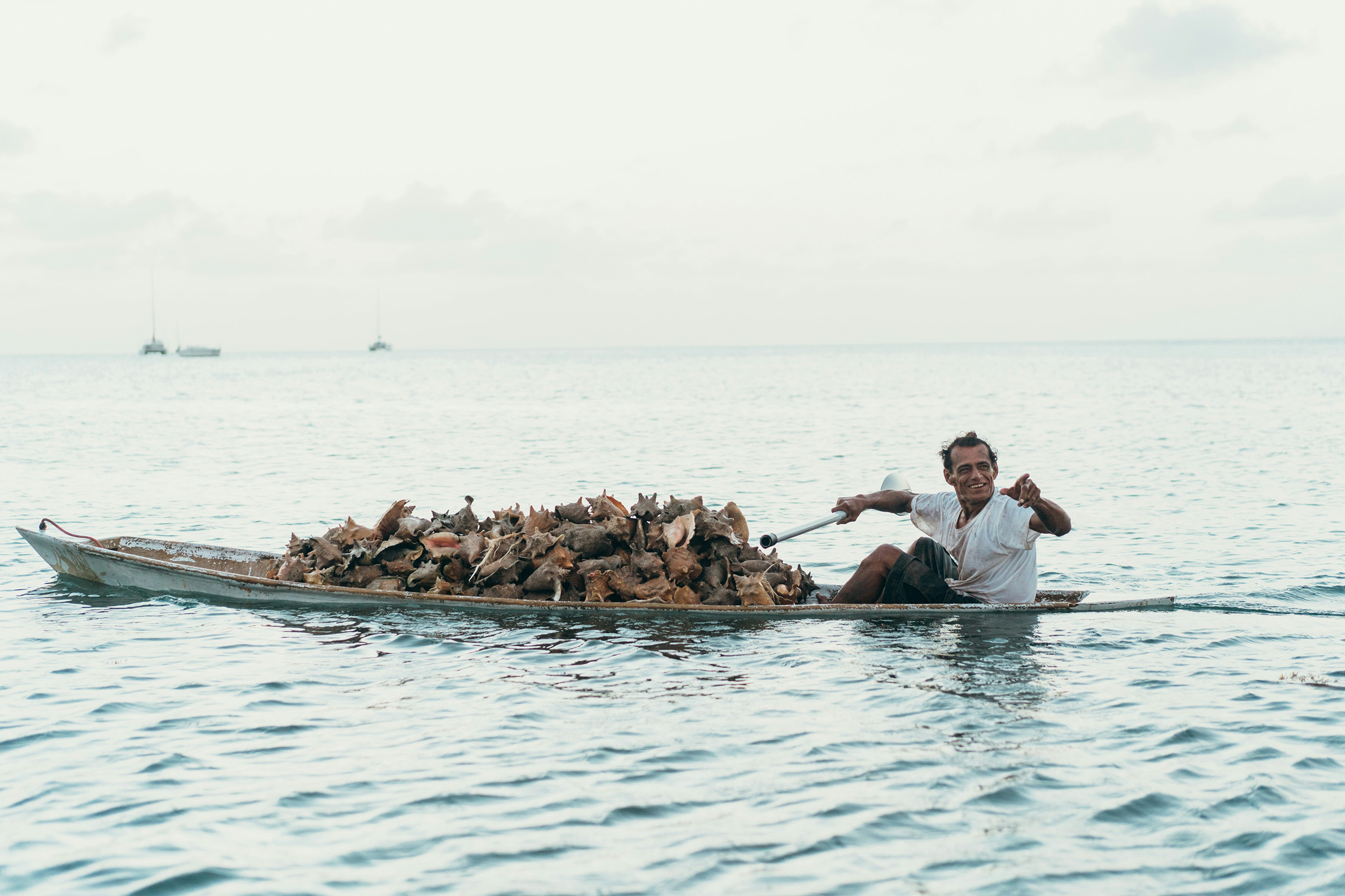 Belizean man rowing a dugout canoe with a pile of conch shells, traditional coastal life