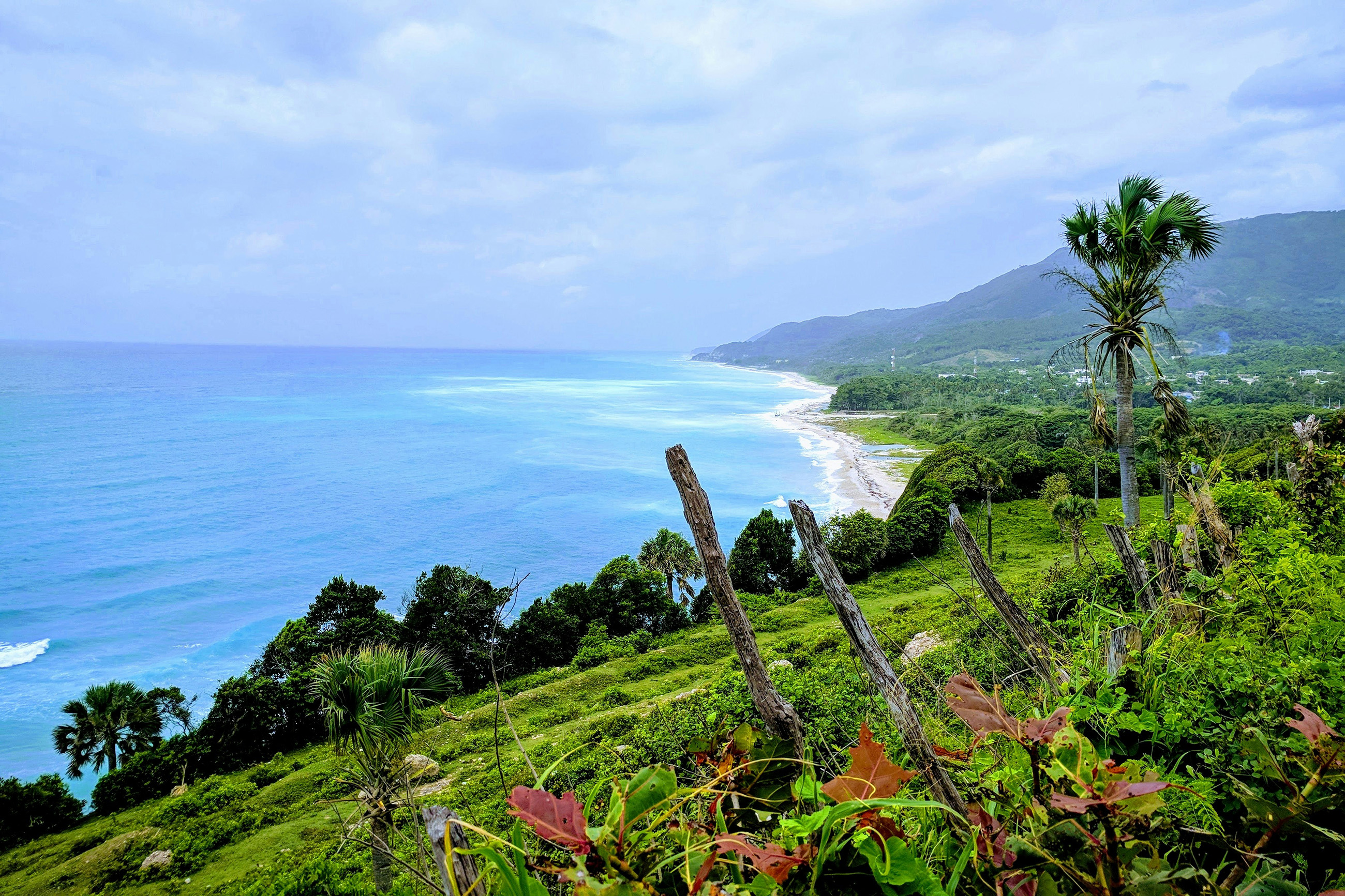 View from a jungle hillside overlooking the blue ocean in Barahona, Dominican Republic