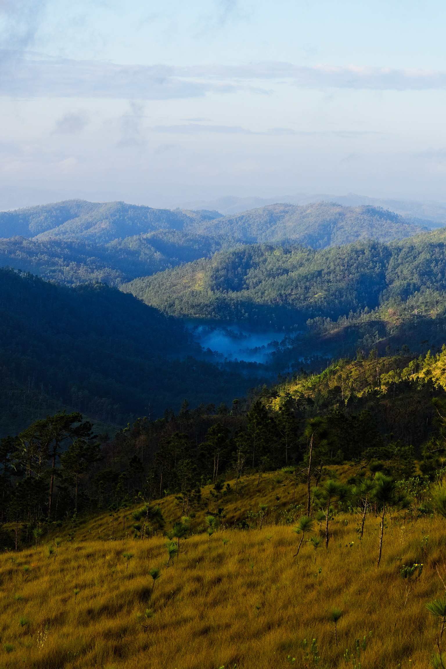 Aerial view of jungle and rolling hills near Belmopan in the Cayo District