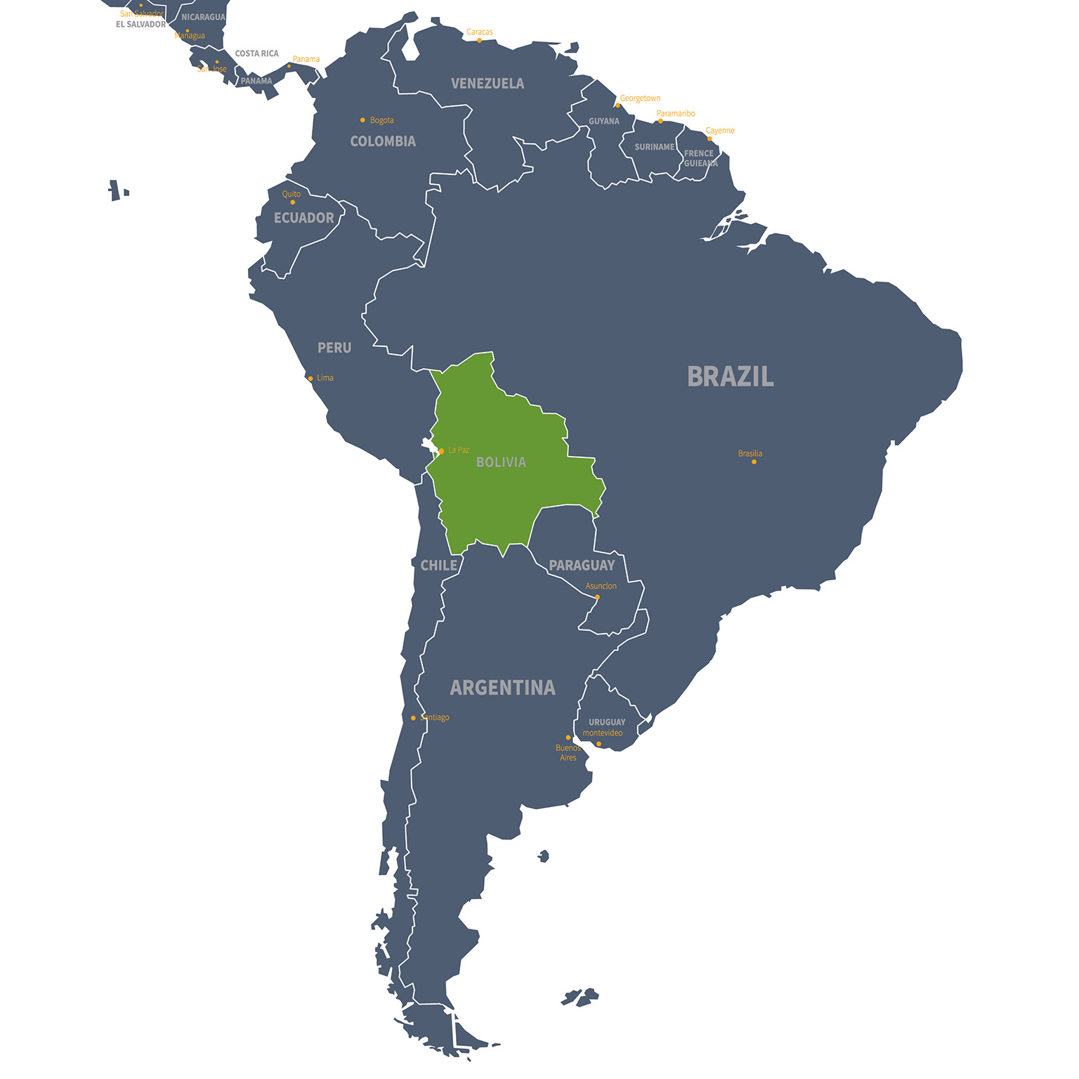 A map of South America with Bolivia highlighted in color, showing its position within the continent.