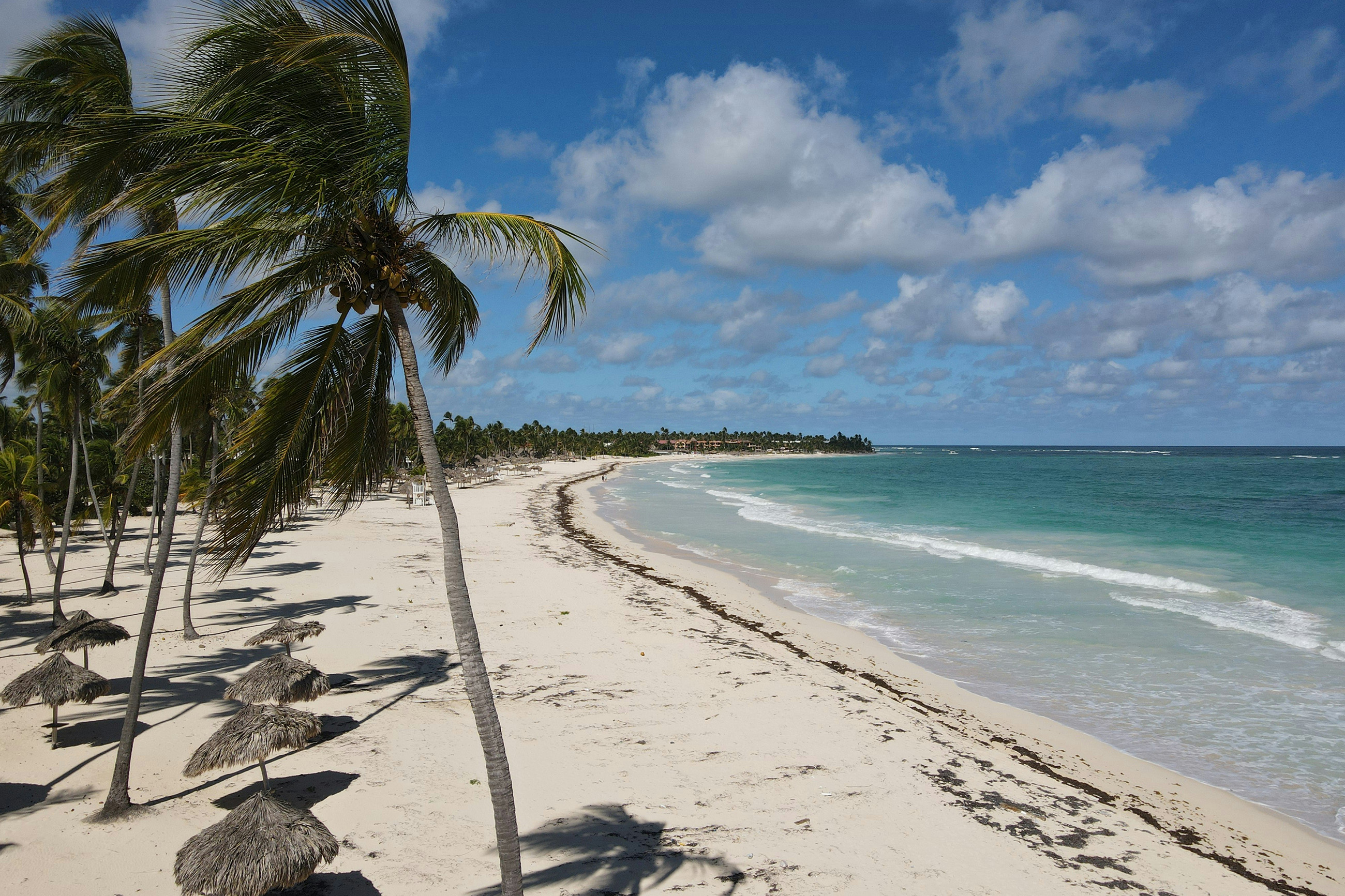 Wind-swept beach with palm trees and white sand in Punta Cana, Dominican Republic