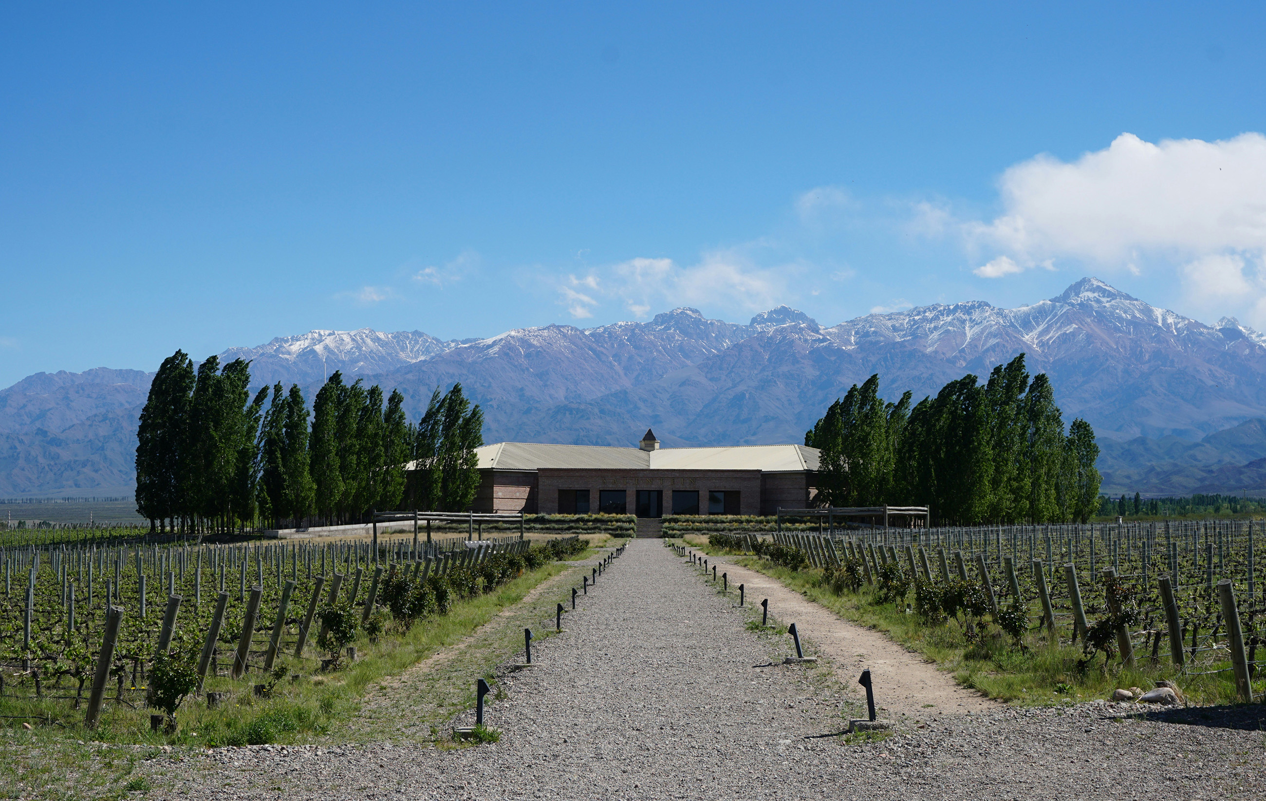 House in a vineyard with the Andes Mountains in the background, showcasing the peaceful lifestyle of living in Argentina.