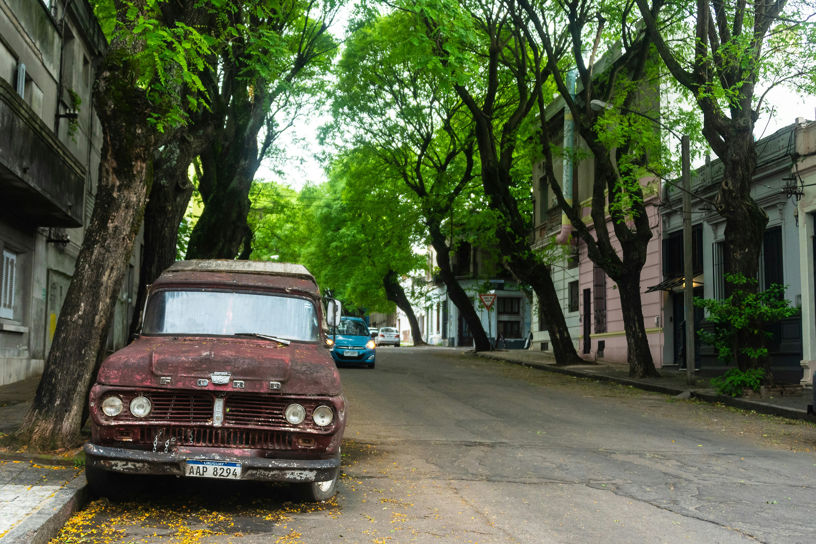 Old rusting Ford parked on a picturesque street in Montevideo, with pastel-colored buildings and lush trees, showcasing Uruguay’s vibrant urban charm