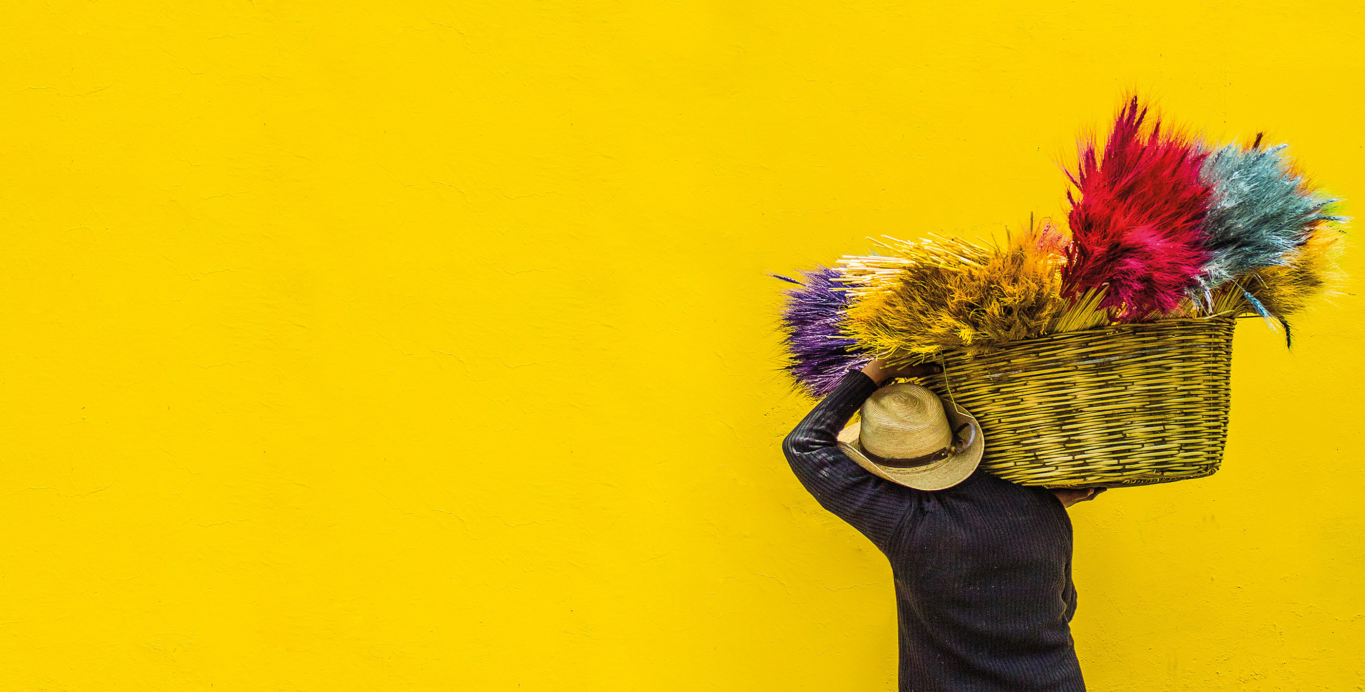 Man carrying straw in a woven basket with a vibrant yellow background in Latin America