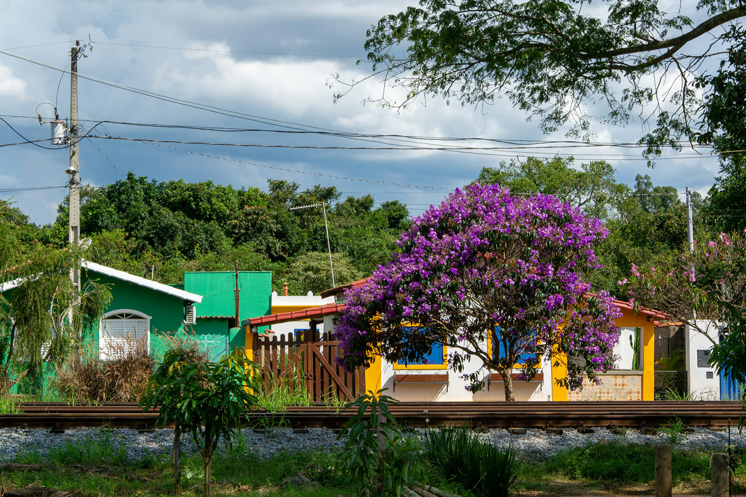 Row of colorful Belize houses symbolizing local culture and vibrant community life.
