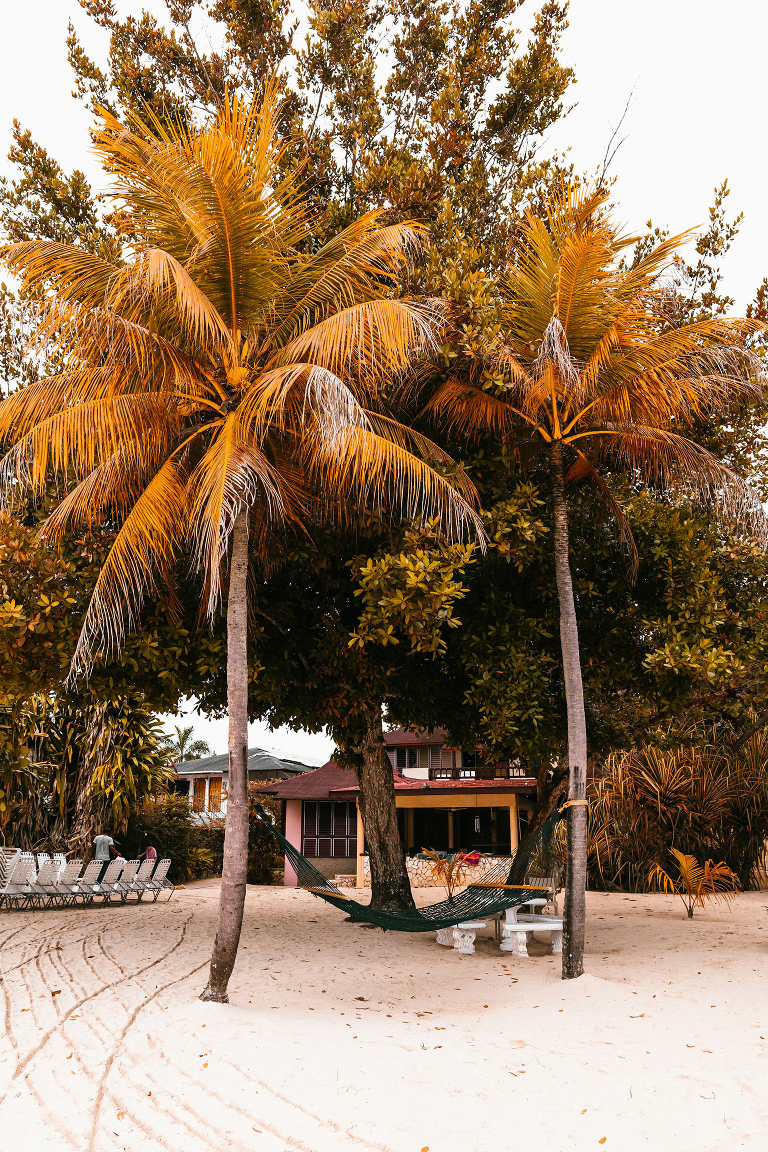 Hammock on a Belize beach with colorful houses in the background representing coastal living.