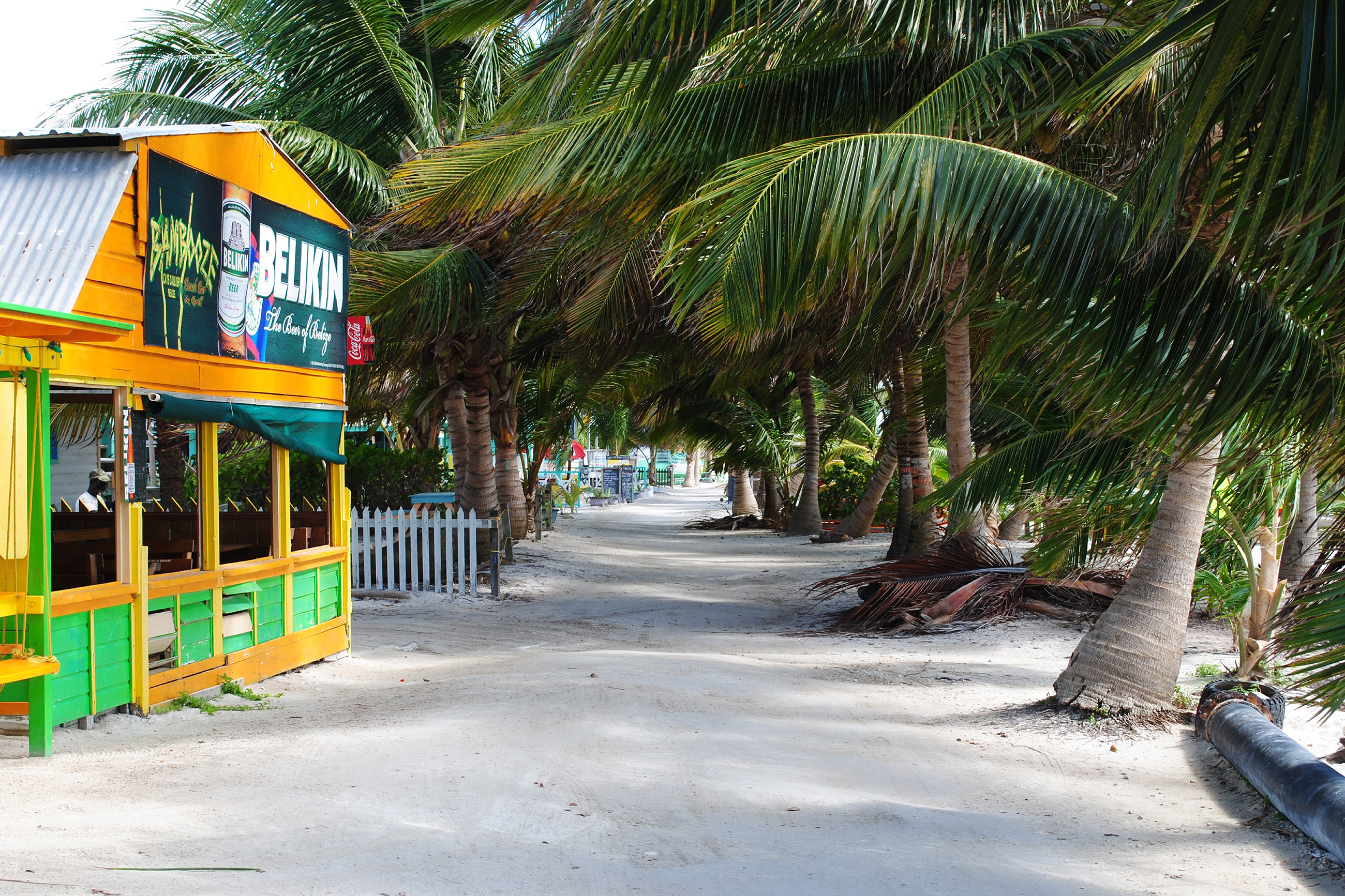 Palm-lined island street in Belize, ideal for remote workers