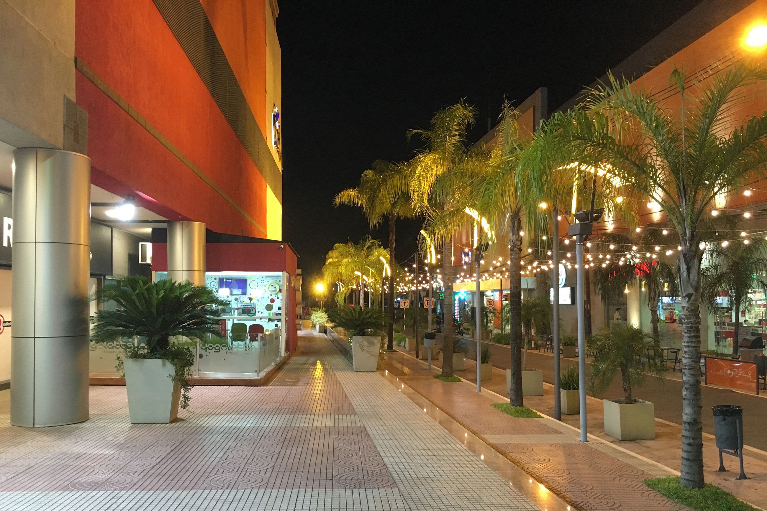 A lit street with palm trees and elegant store fronts in an upscale neighborhood of Asunción, showcasing a vibrant evening scene