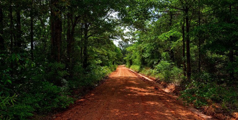 Dirt road winding through lush forest in Paraguayan countryside – ideal for rural land when buying property in Paraguay as a foreigner 2026