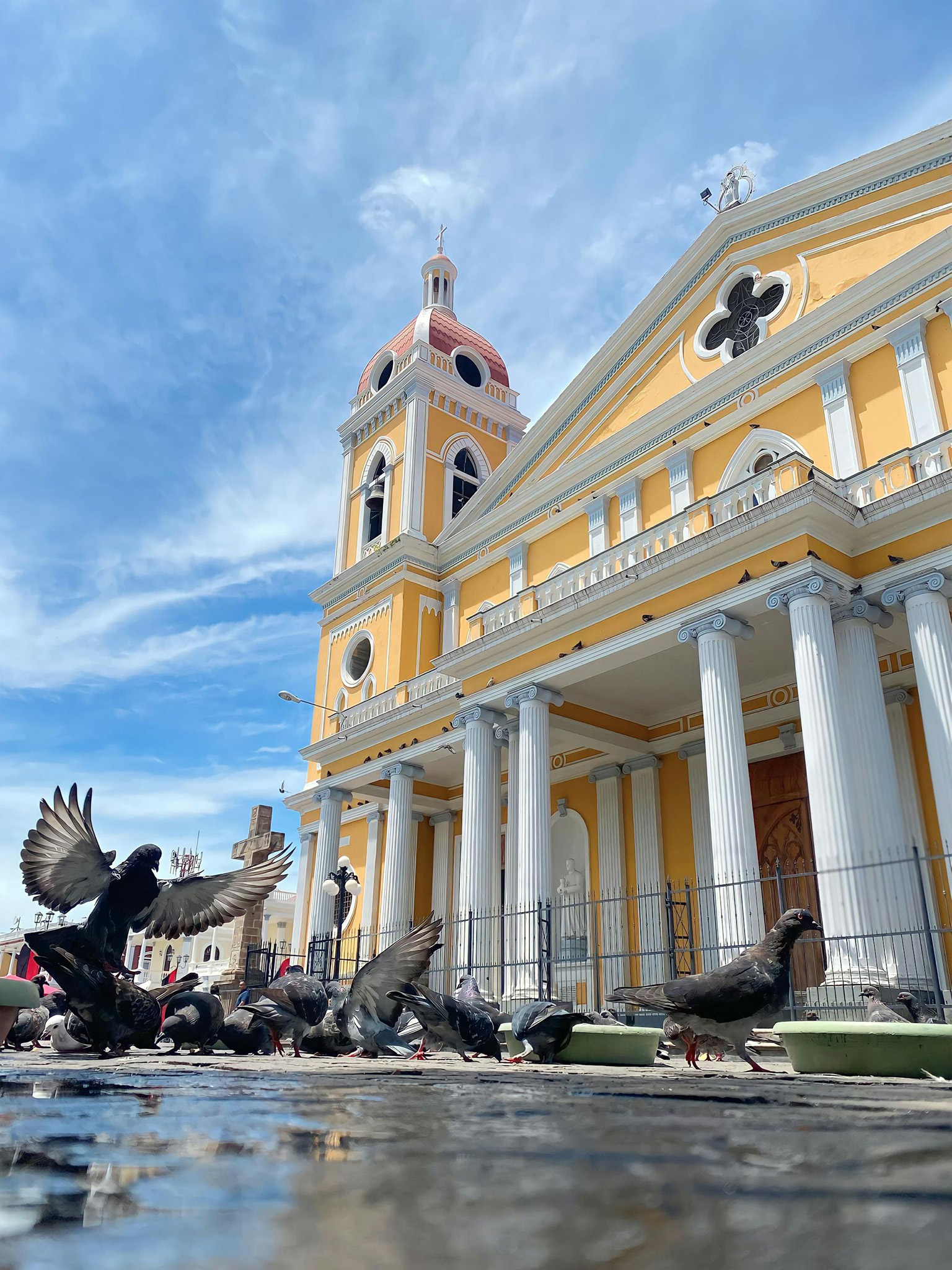 Pigeons feeding in front of Granada Cathedral in Central Park Nicaragua
