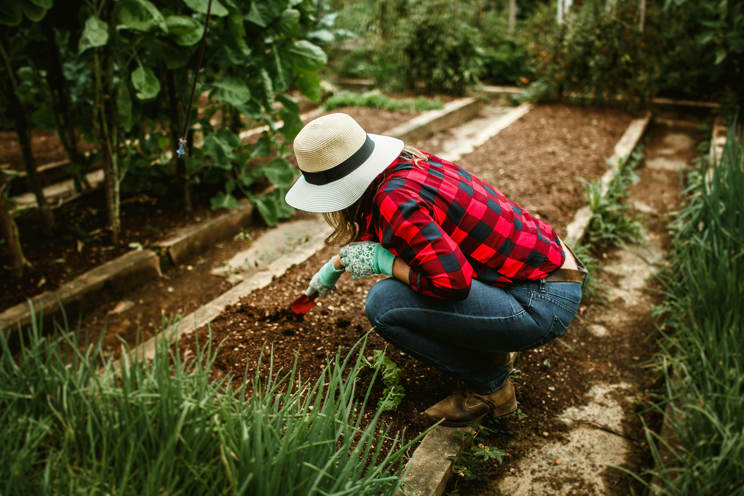 Woman gardening as part of self-reliant living in Belize