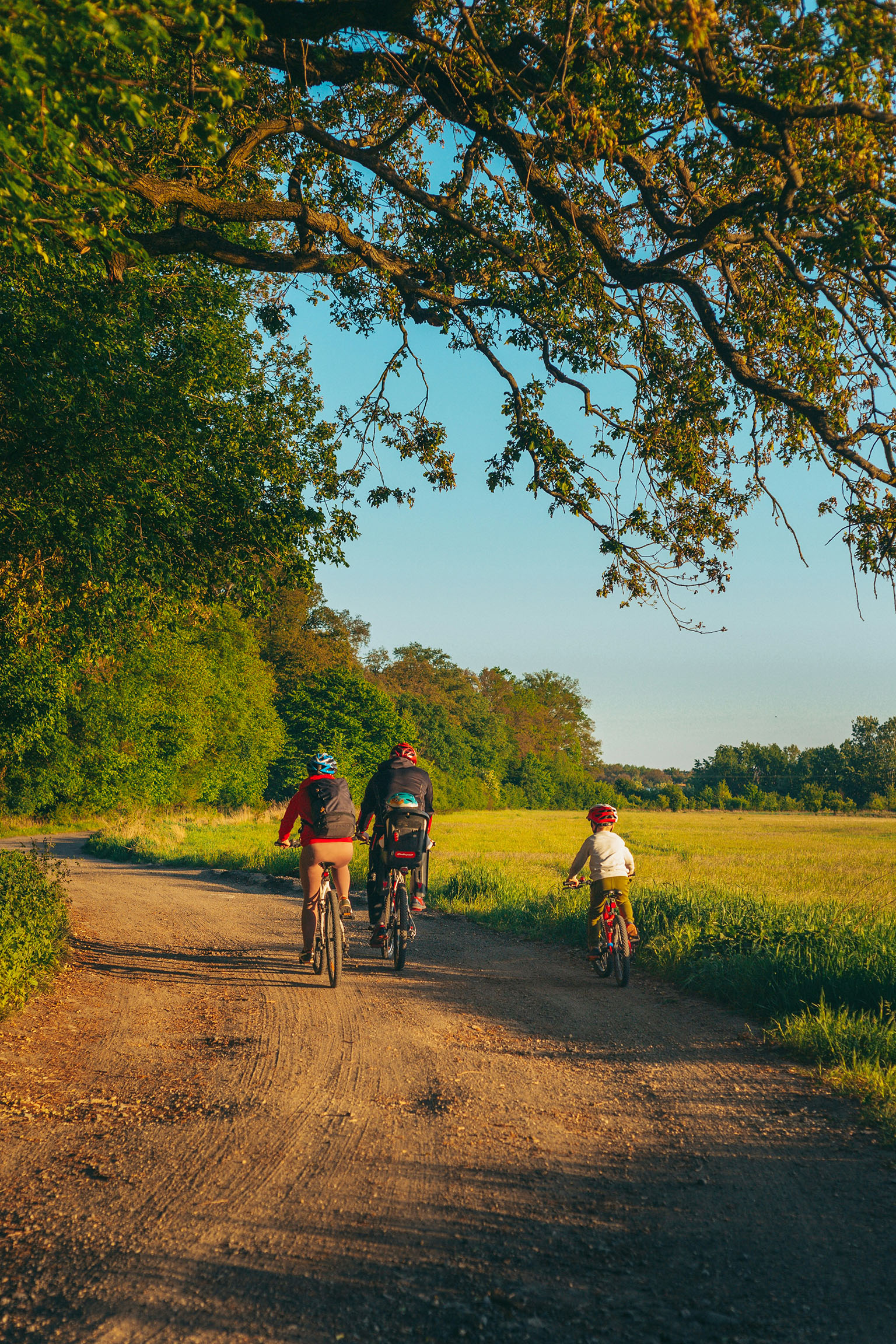 Family riding bicycles together in a residential neighborhood in Paraguay