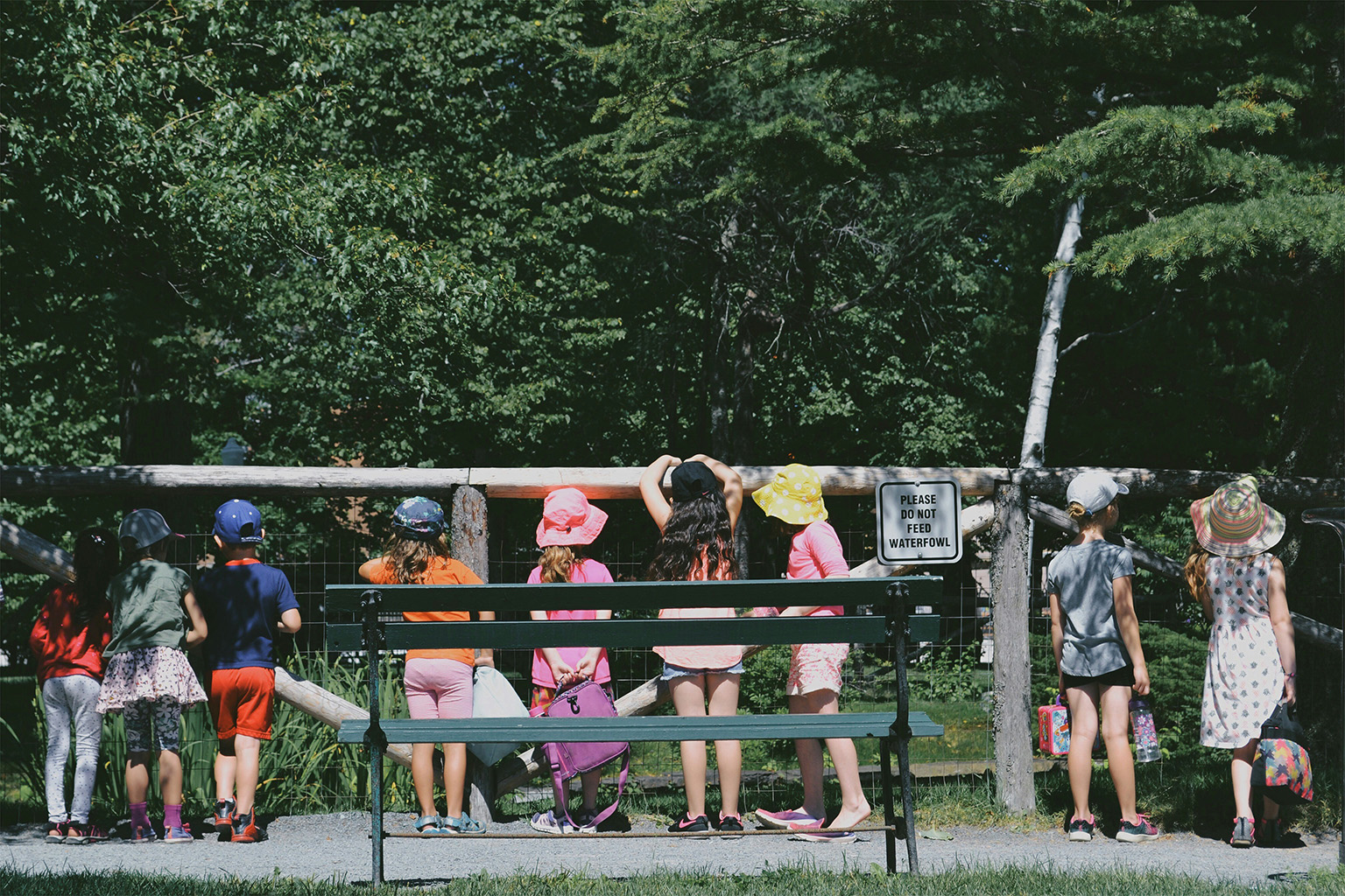 Young school children exploring their surroundings during a school outing in Paraguay