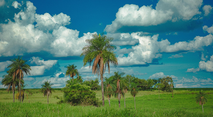 Rural land investment buying property living in Paraguay