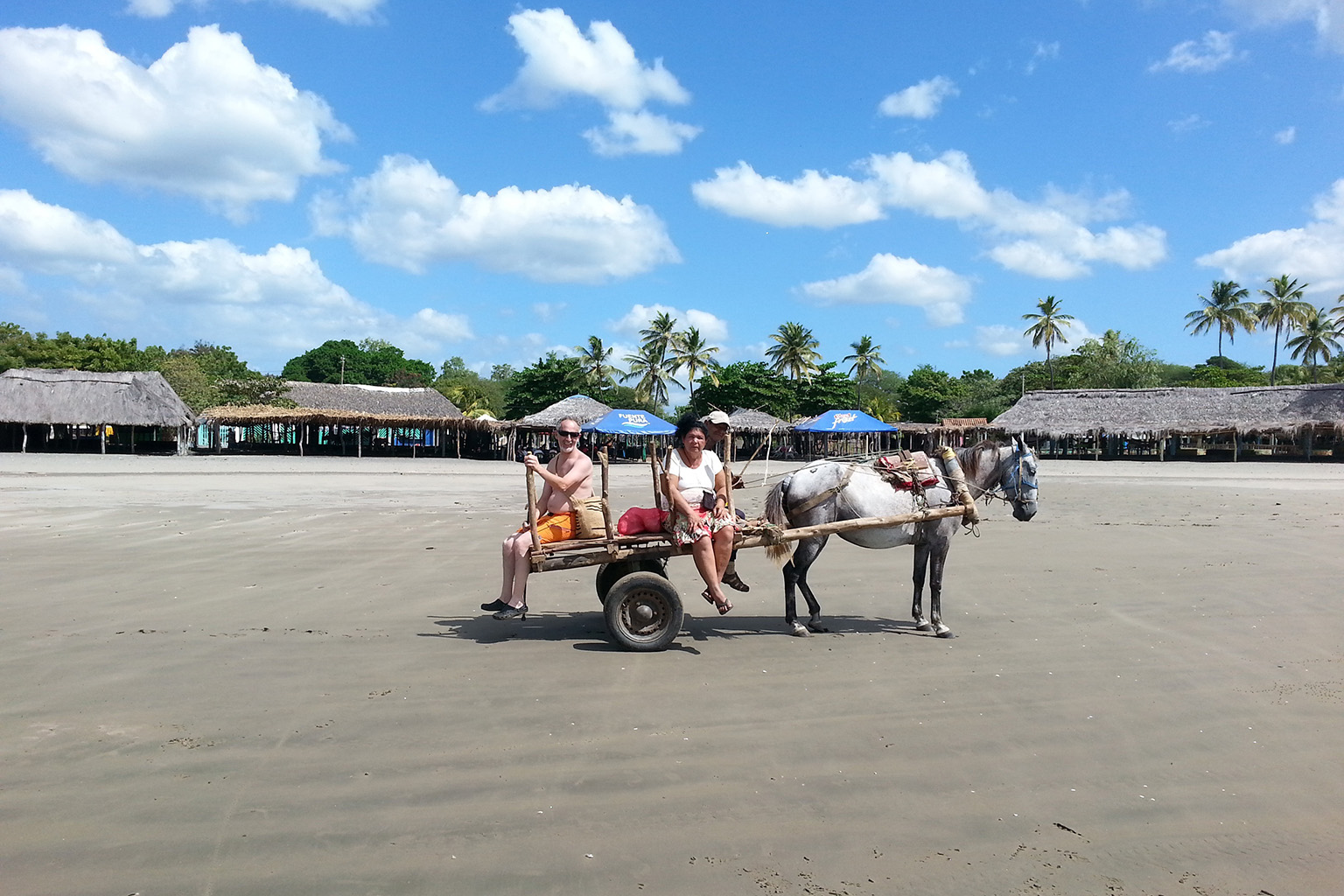 Horse pulling a buggy along the beach in Pochomil Nicaragua showing the relaxed coastal lifestyle