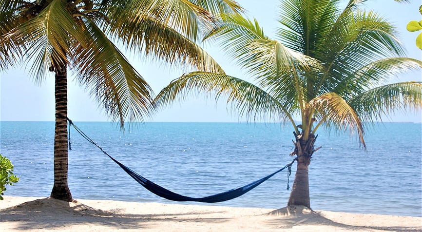 Living in Belize with a hammock between palm trees on a quiet beach