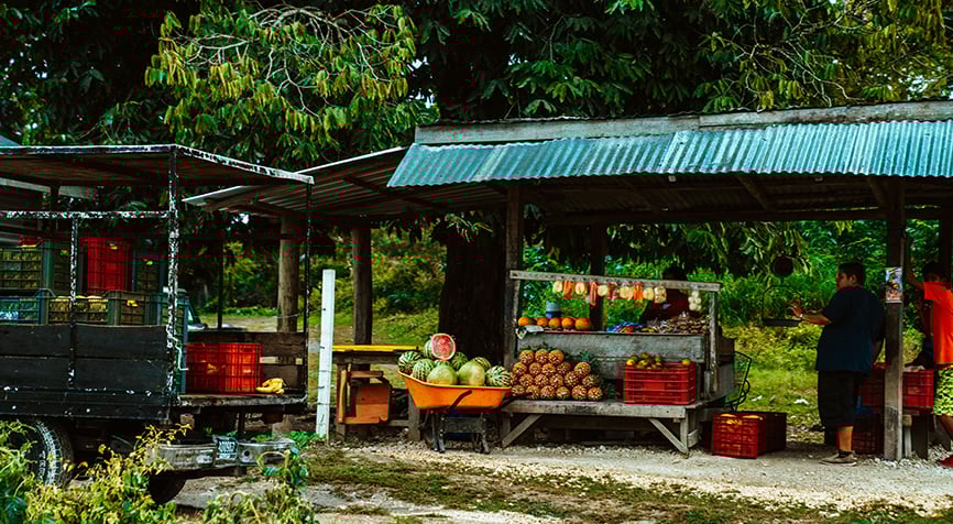 Living in Belize in Belmopan with a local street market and everyday life