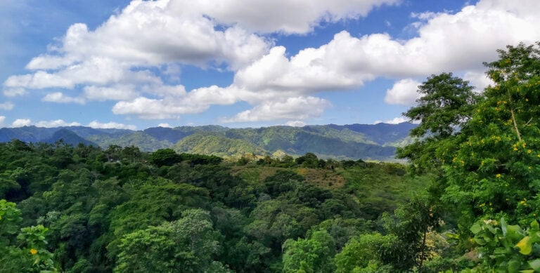 Remote jungle property showing realities of buying land in Nicaragua