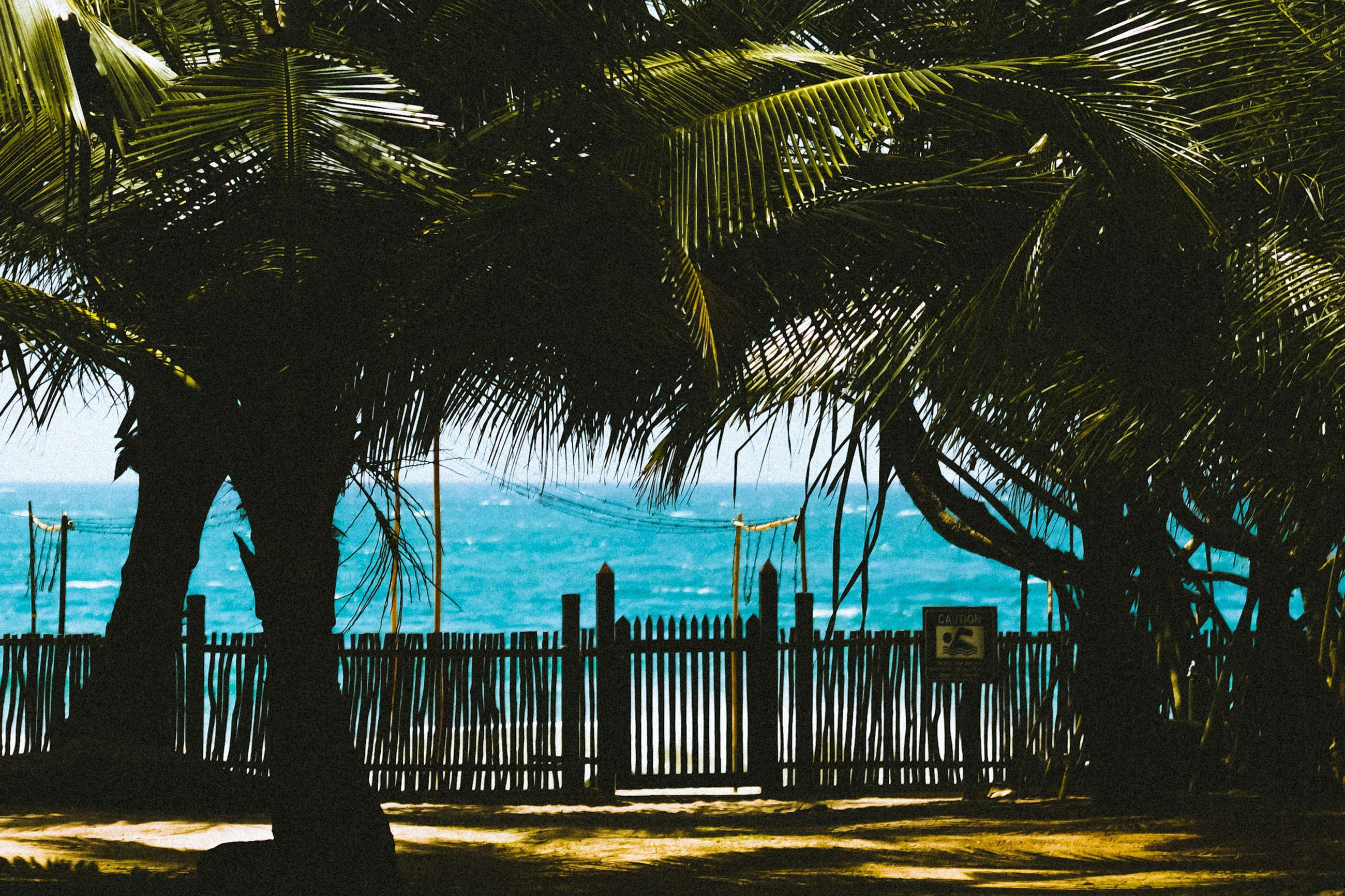 Ocean view from a palm tree backyard in Belize showing expat lifestyle