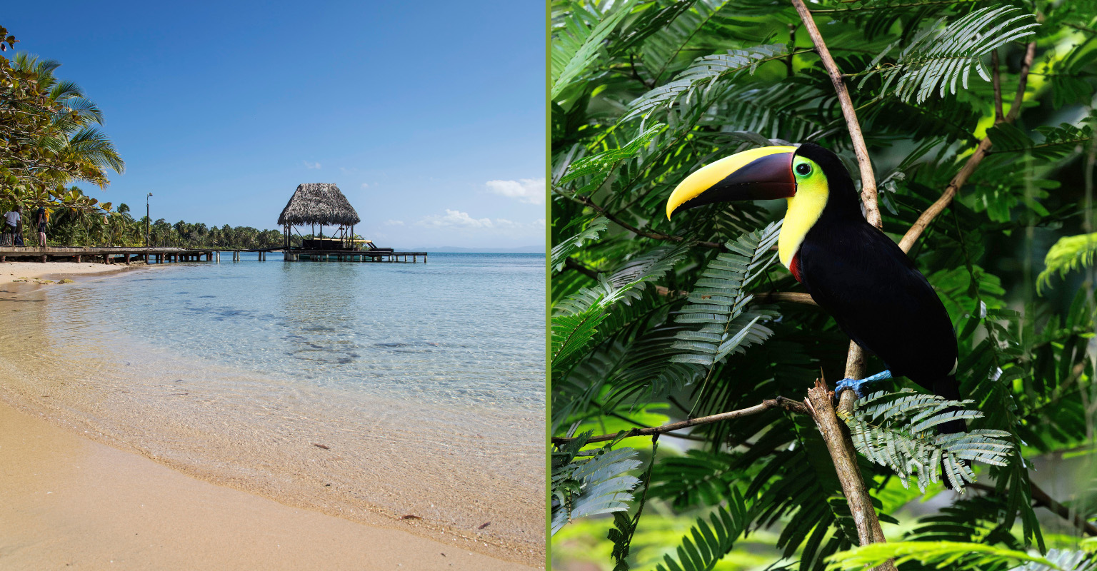 Beach lifestyle vs jungle lifestyle in Belize - choosing the wrong environment is a big mistake moving to Belize