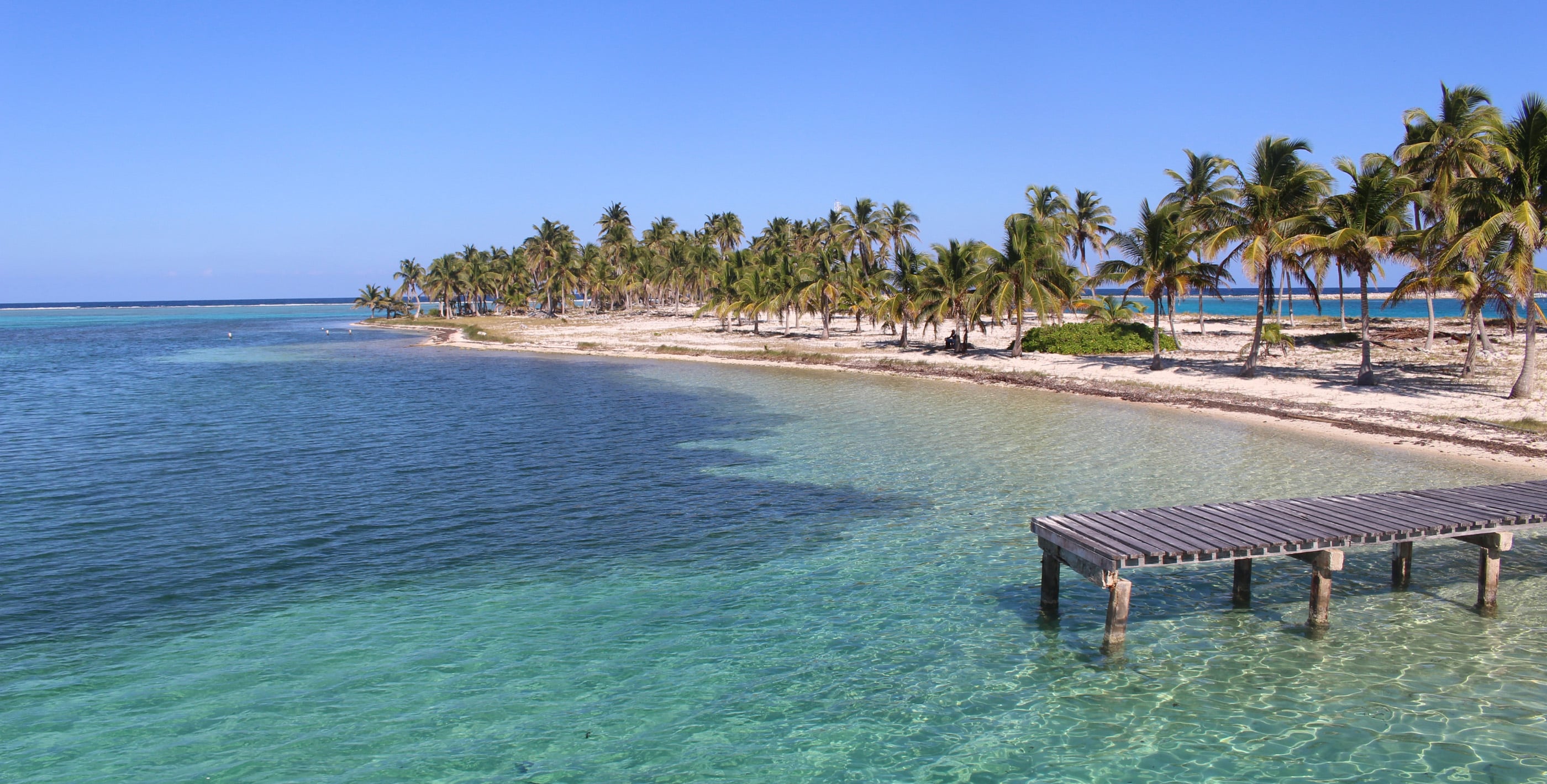 Idyllic Belize coastline with palm trees - the dream many expats chase before making mistakes moving to Belize