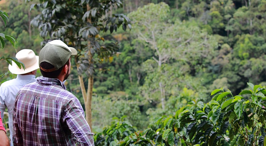 Locals checking coffee farm in Nicaragua countryside