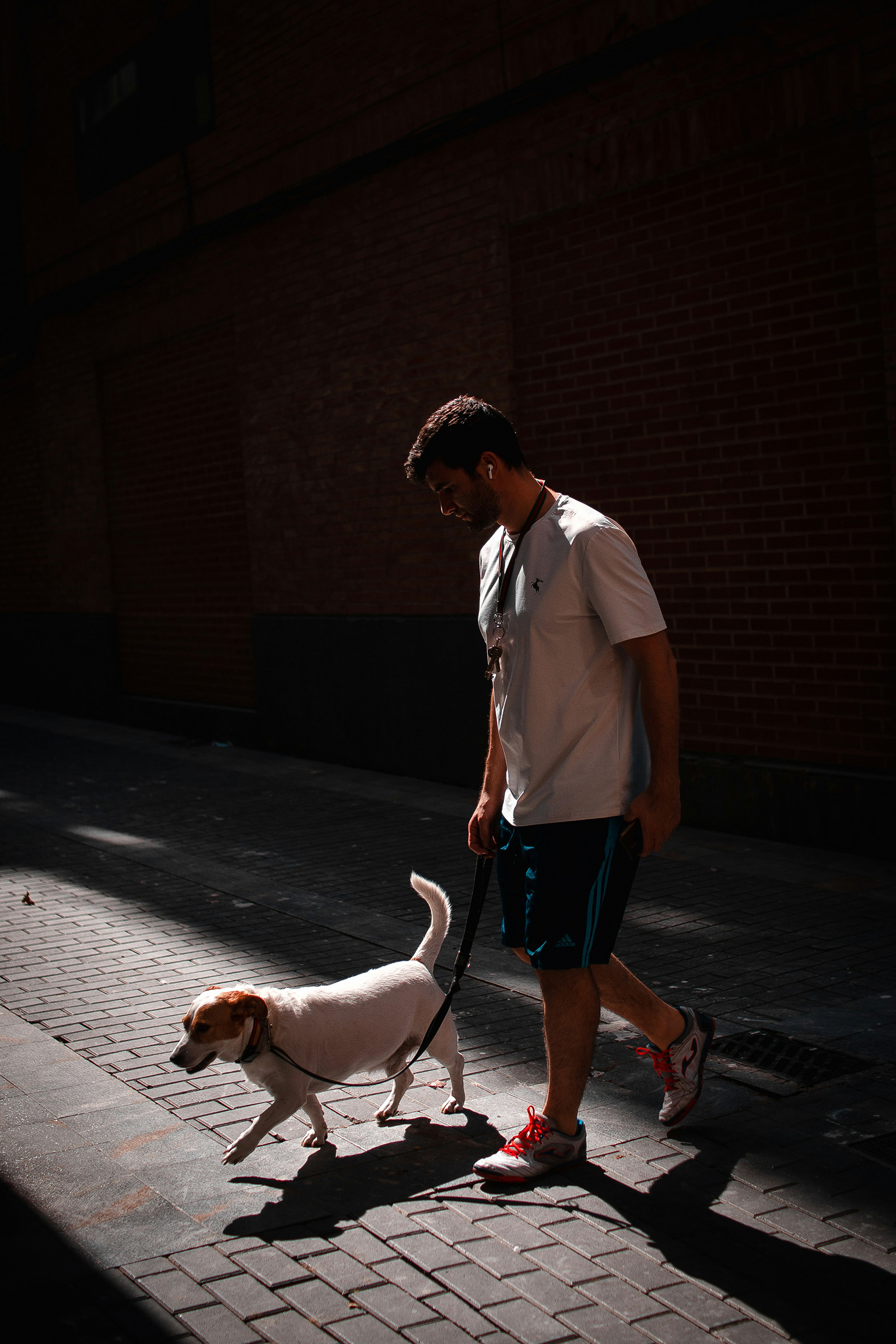 man-walking-dog-street-paraguay-living-with-pets Man walking his dog on the street while living in Paraguay after bringing pets to Paraguay