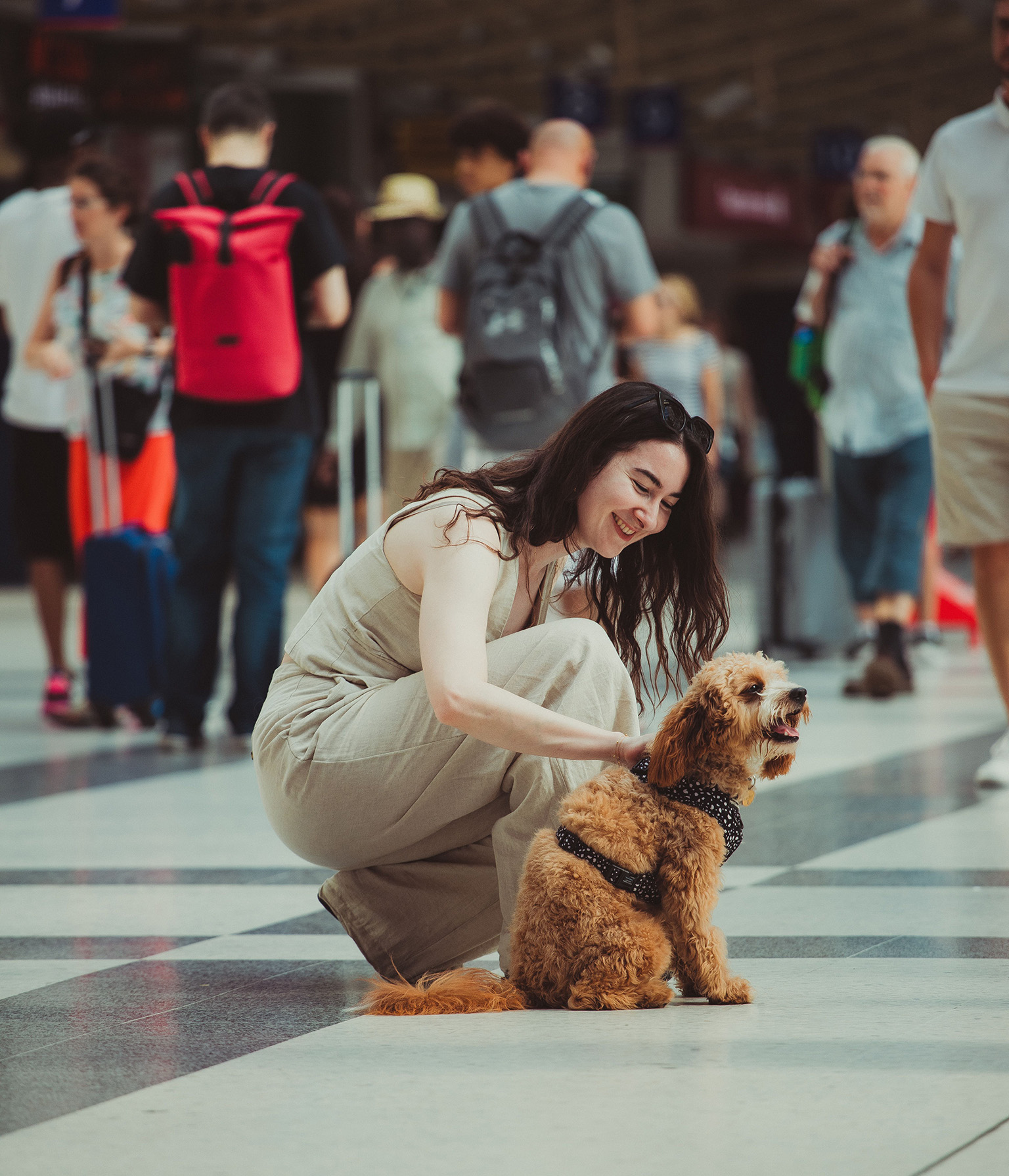 woman-with-small-dog-asuncion-airport-bringing-pets-to-paraguay Woman patting her small dog at Asuncion airport after bringing pets to Paraguay